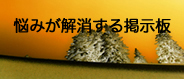 なやみが解消する掲示板